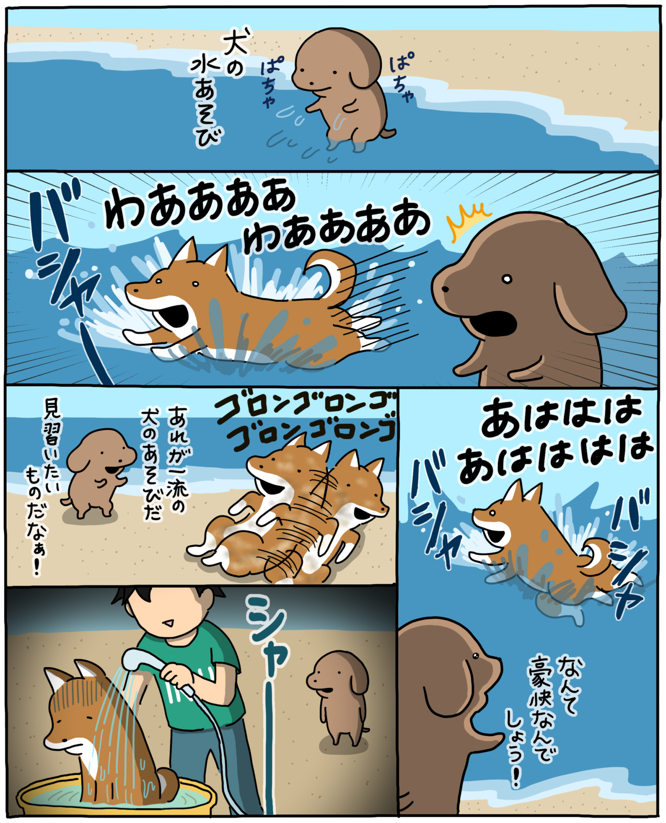 マンガ連載】こいぬと柴犬#28「柴犬と水あそび」作：うかうか | 柴犬 