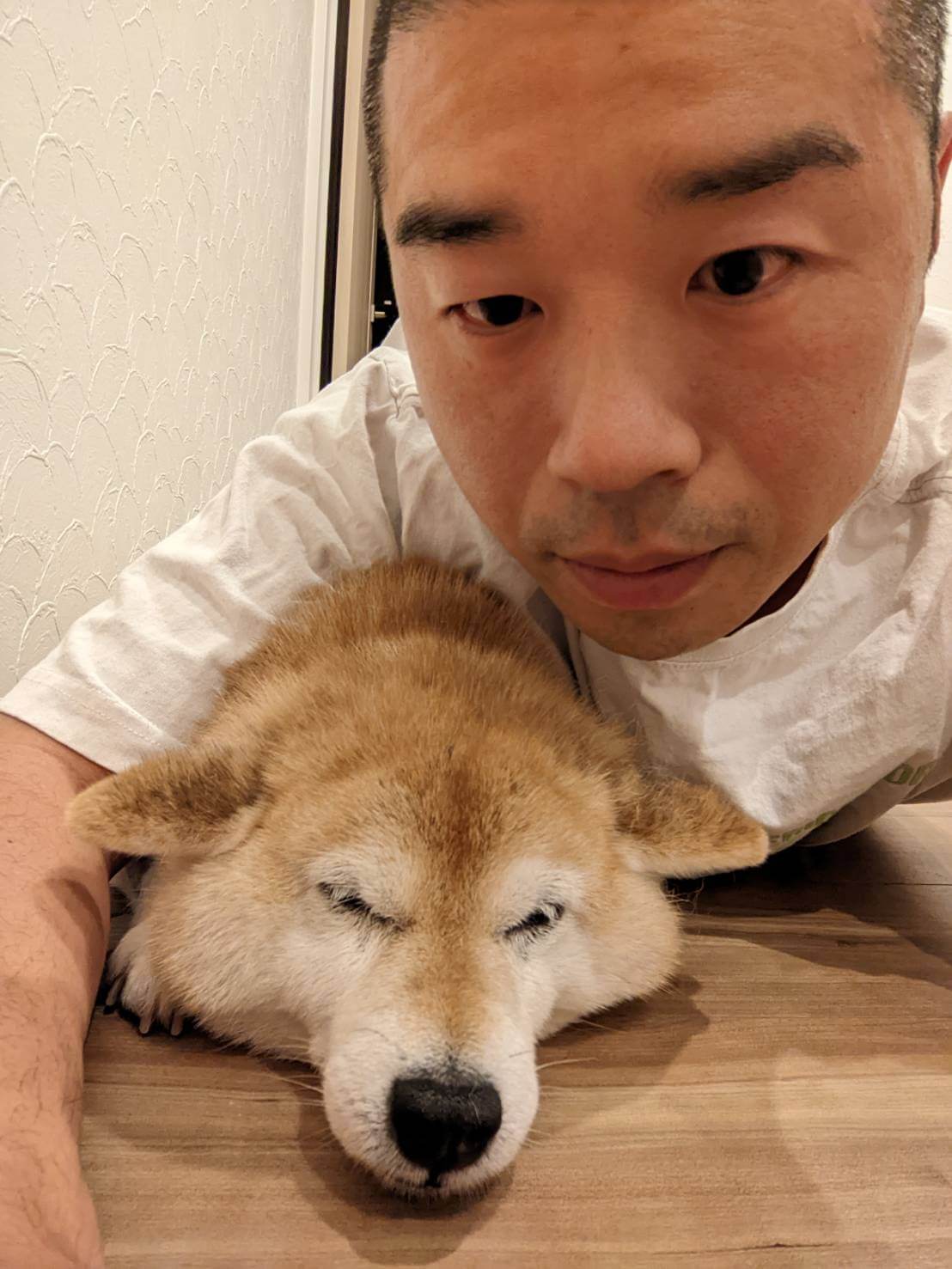 柴犬ライフ,アキナ山名