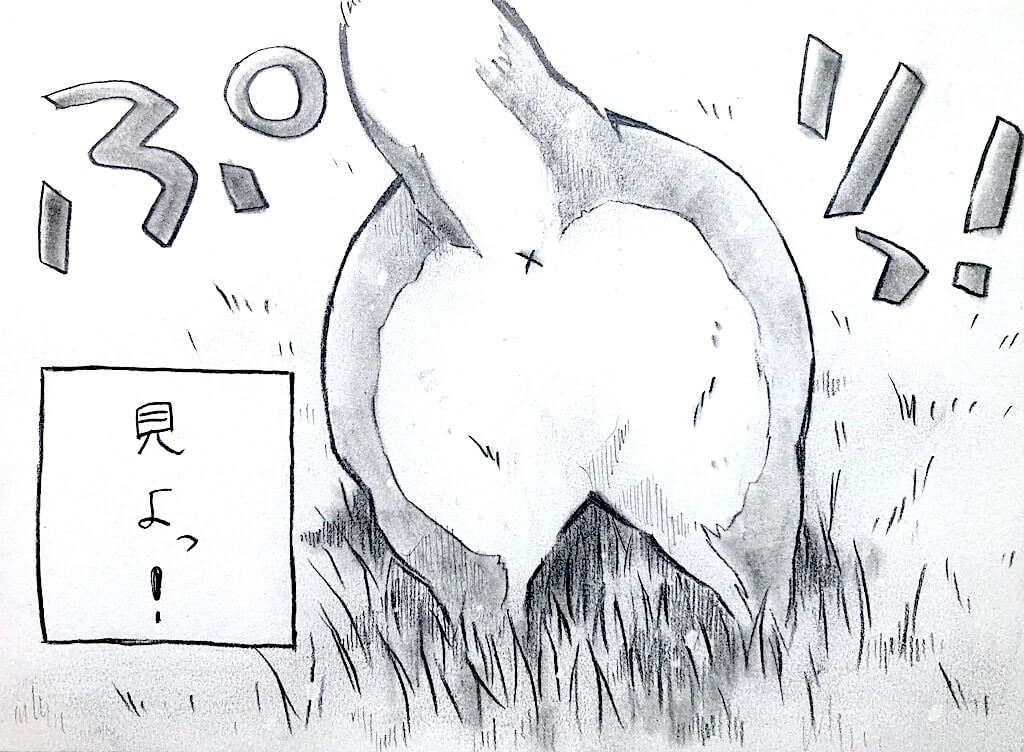 勝手に妄想しば