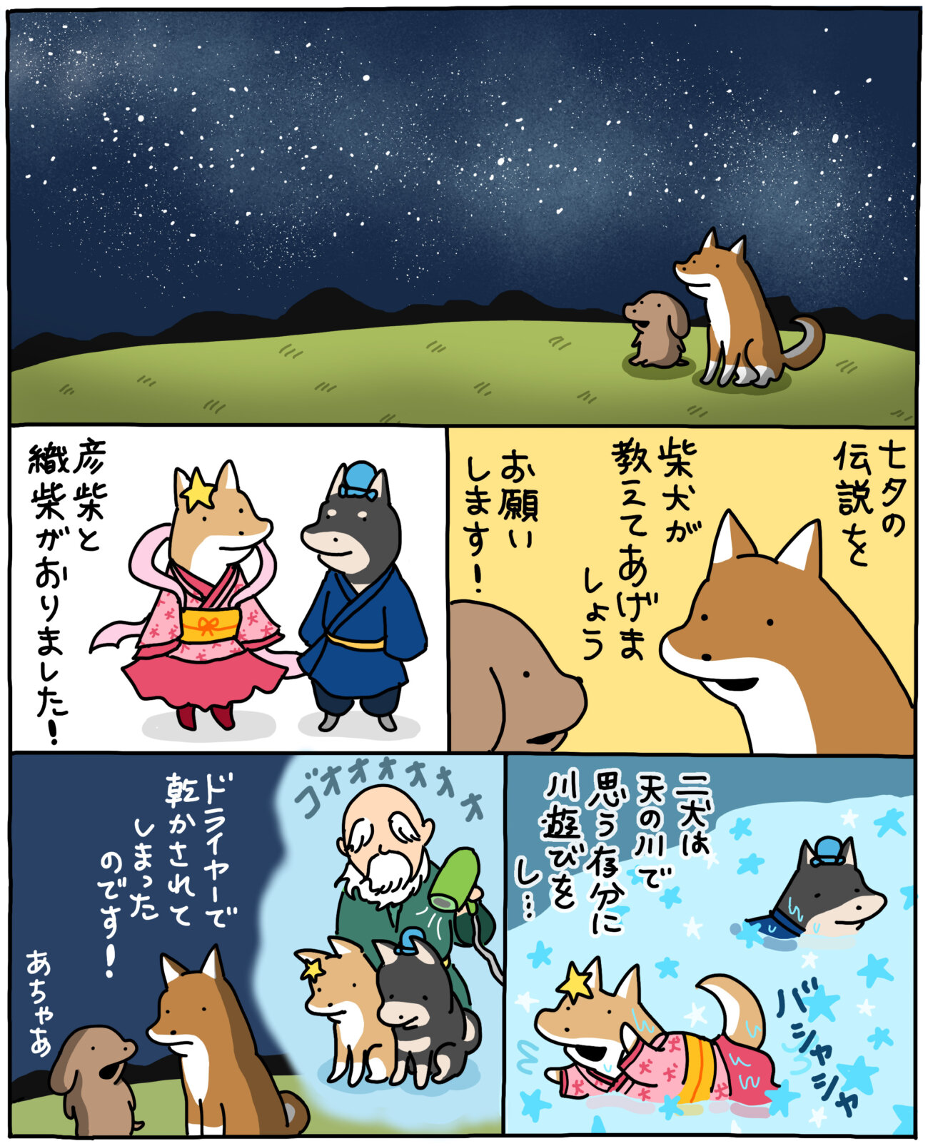 【マンガ連載】こいぬと柴犬#30「柴犬の七夕」作：うかうか | 柴犬ライフ [Shiba-Inu Life]