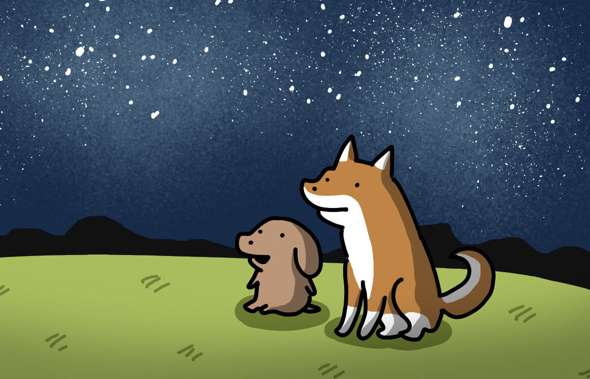 【マンガ連載】こいぬと柴犬#30「柴犬の七夕」作：うかうか | 柴犬ライフ [Shiba-Inu Life]