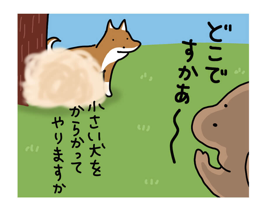 【マンガ連載】こいぬと柴犬#33「柴犬のからかい」作：うかうか | 柴犬ライフ [Shiba-Inu Life]