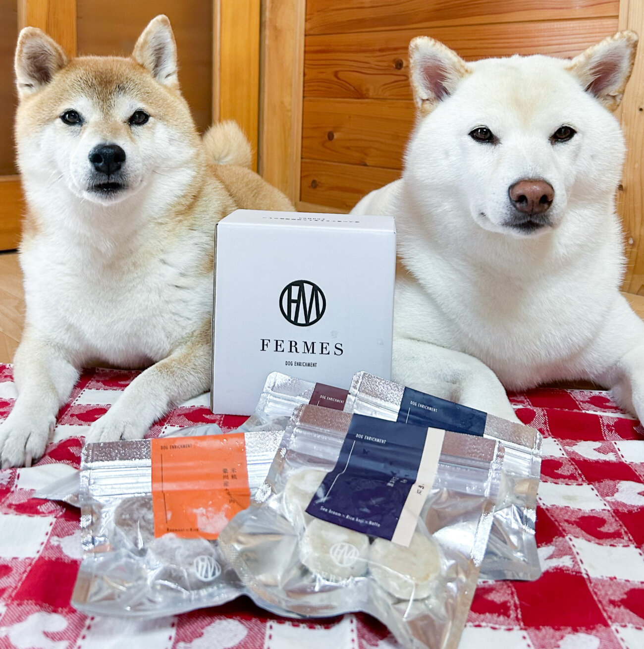 柴犬ライフ,フェルメス,発酵食品