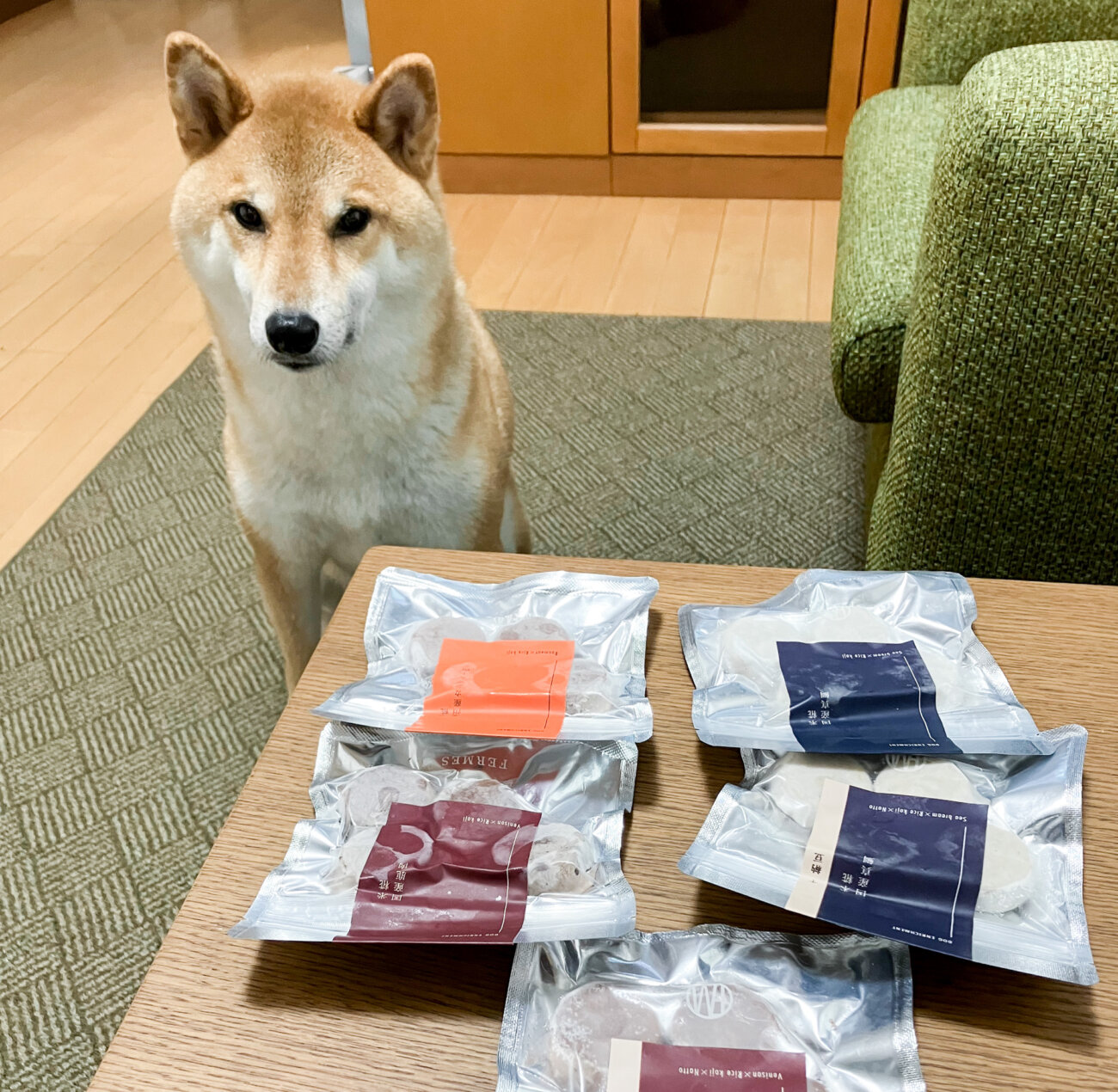 柴犬ライフ,フェルメス,発酵食品