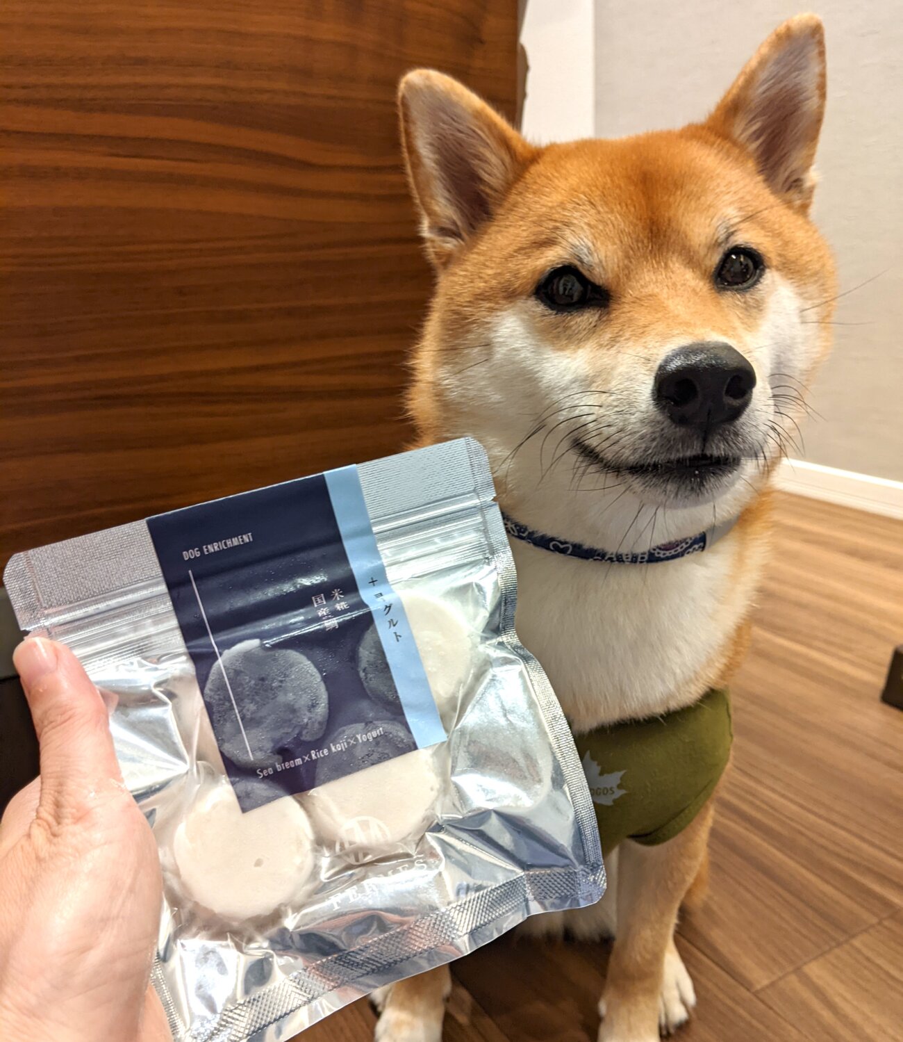 柴犬ライフ,フェルメス,発酵食品