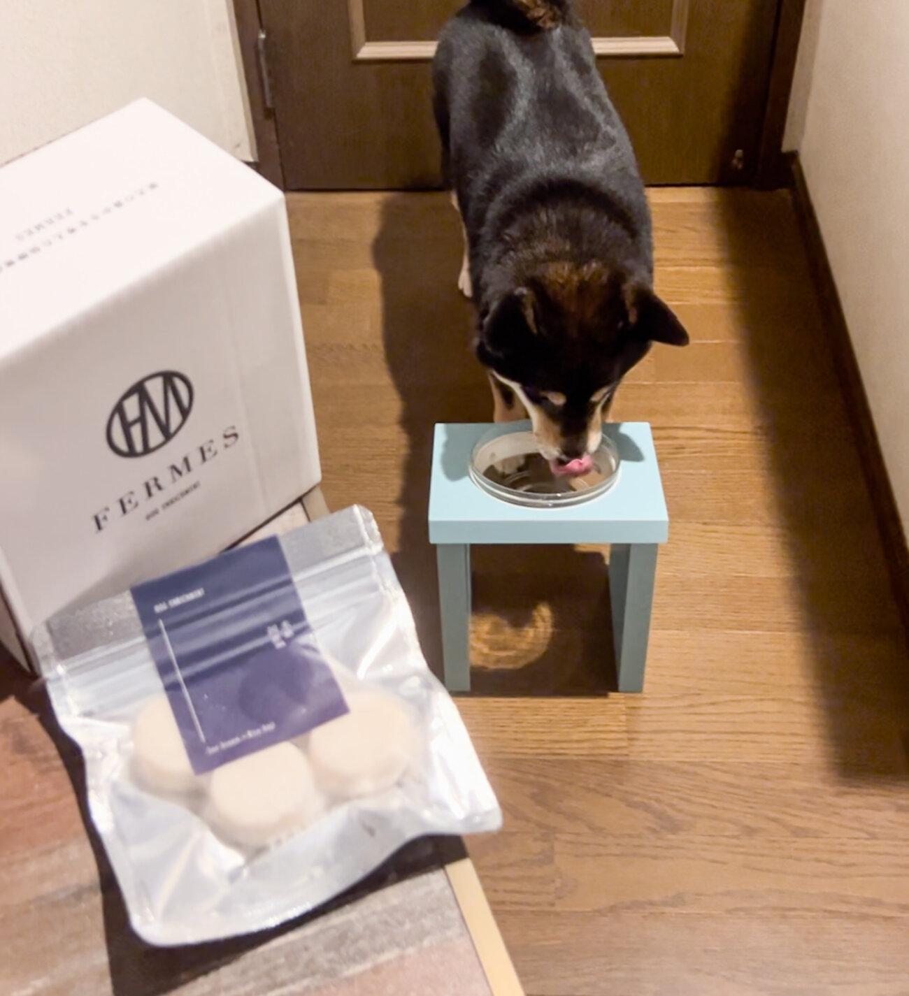 柴犬ライフ,フェルメス,発酵食品