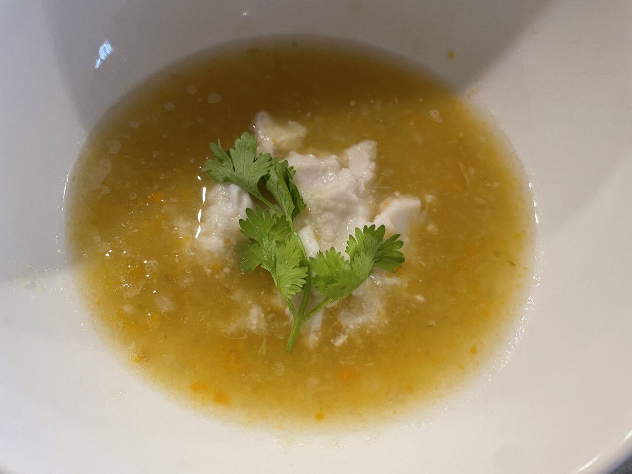 柴犬ライフ,フェルメス,発酵食品