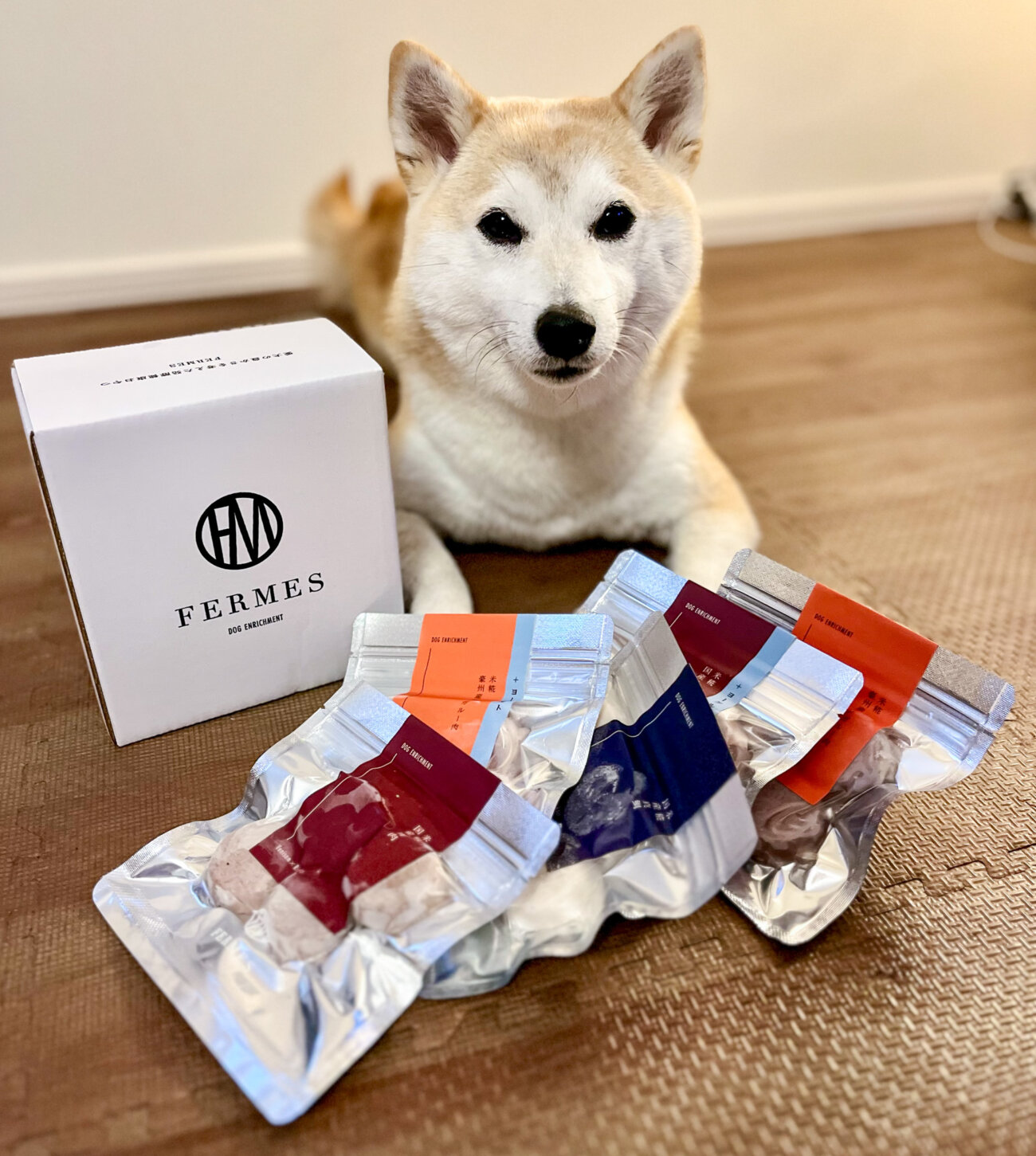 柴犬ライフ,フェルメス,発酵食品