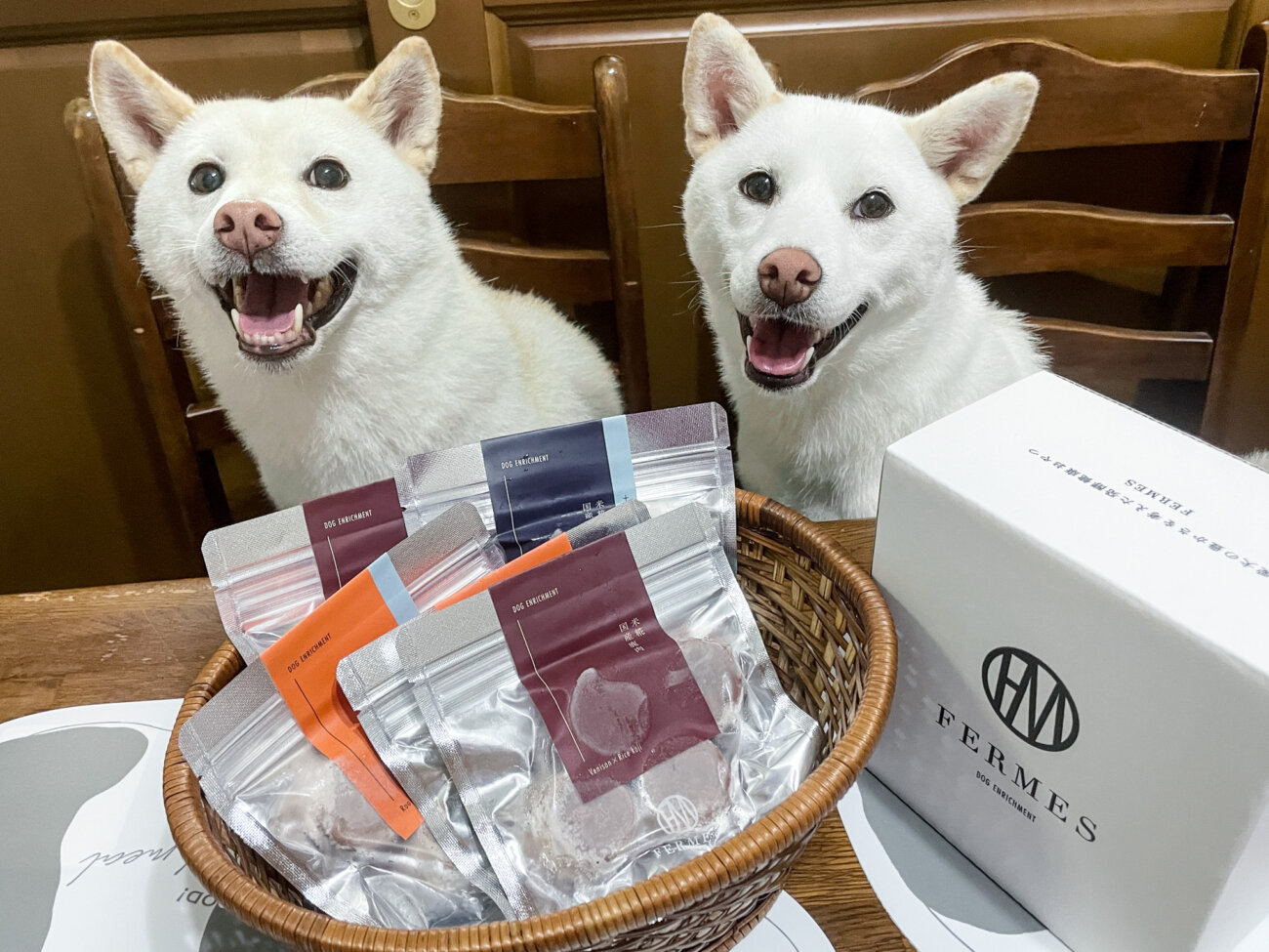 柴犬ライフ,フェルメス,発酵食品