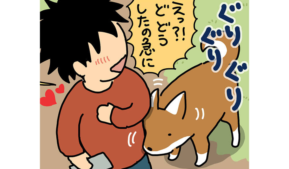 【マンガ連載】こいぬと柴犬#40「柴犬のゆるぎなさ」作：うかうか | 柴犬ライフ [Shiba-Inu Life]