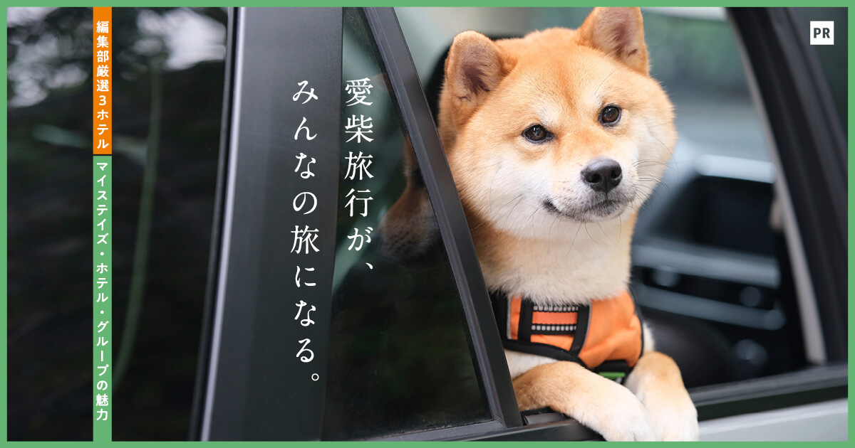 愛柴との家族旅行に！】温泉、オーシャンビュー、ドッグランが魅力の