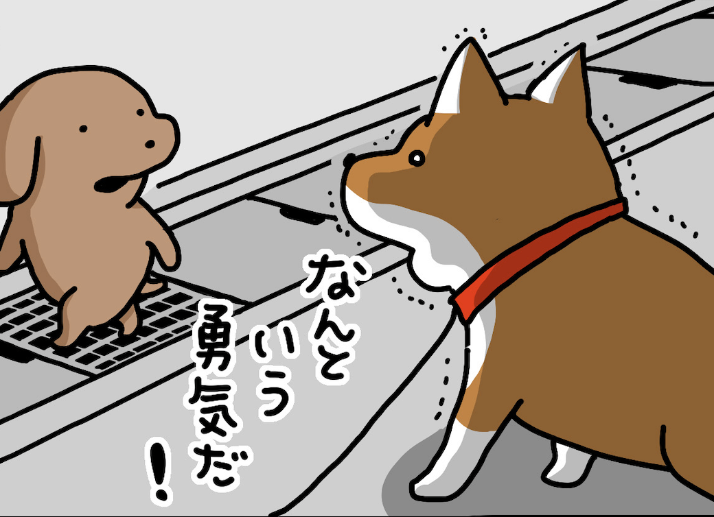 【マンガ連載】こいぬと柴犬#48「柴犬の勇敢さ」作：うかうか | 柴犬ライフ [Shiba-Inu Life]