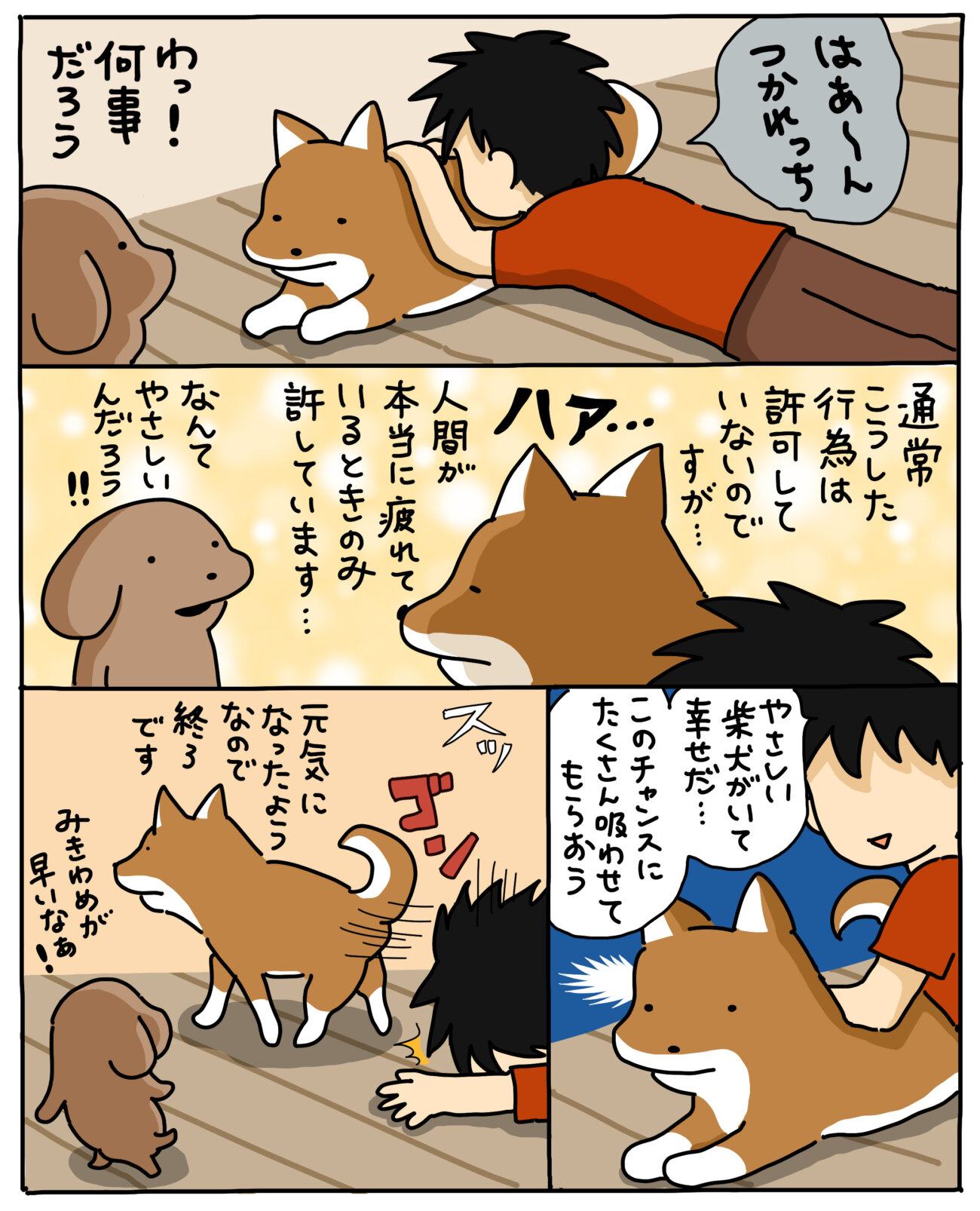 マンガ連載】こいぬと柴犬#53「柴犬の慈悲」作：うかうか | 柴犬ライフ 