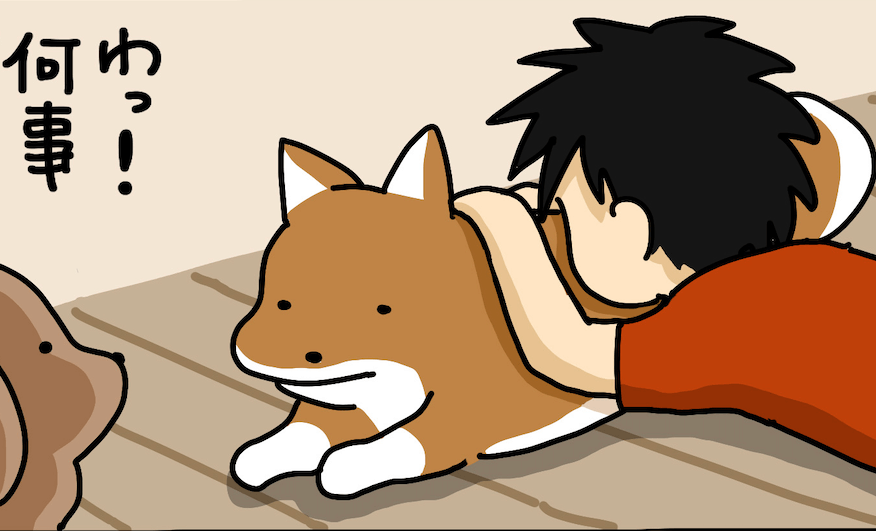 【マンガ連載】こいぬと柴犬#53「柴犬の慈悲」作：うかうか | 柴犬ライフ [Shiba-Inu Life]