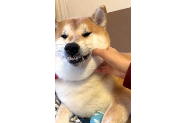 68.jpeg