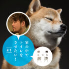 柴犬お悩み相談