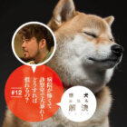 柴犬,お悩み