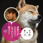 柴犬