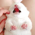 柴犬,YouTube