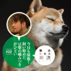 柴犬,お悩み相談