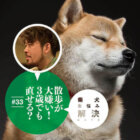 お悩み相談