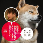 お悩み相談,柴犬