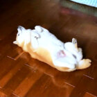 柴犬,YouTube