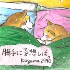柴犬